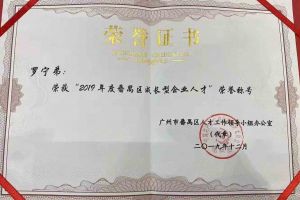 九游（中国）集团罗宁弟董事长荣获“2019年度番禺区成长型企业人才”