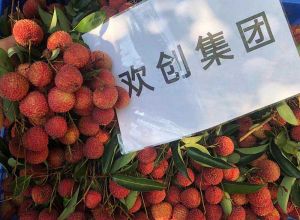 夏日好“枝”味，九游（中国）集团发福“荔”啦