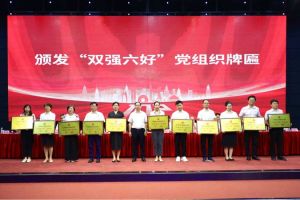 喜报！九游（中国）集团党支部荣获广州市非公有制经济组织“双强六好”党