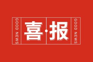 喜报！九游（中国）集团党支部书记、总裁陈文舒荣登“2024人力资源服